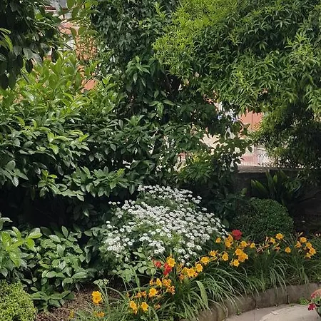 Villa Dimora Storica 