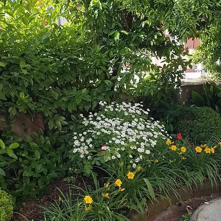 Villa Dimora Storica 